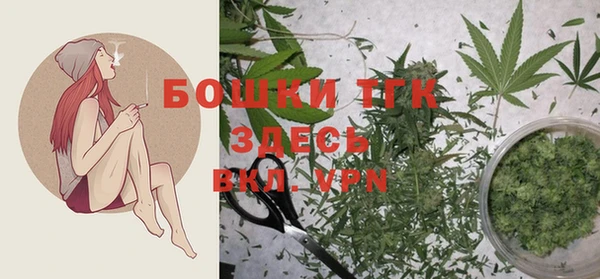 экстази Арсеньев